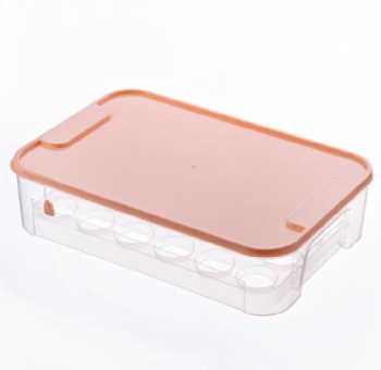 Household plastic eggs holder storage box